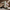 Promotion banner